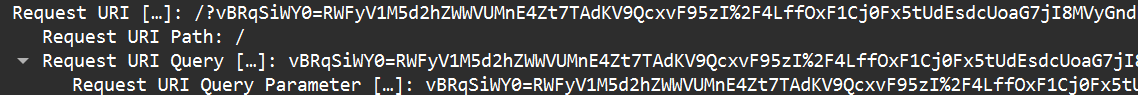 Query parameter from Wireshark